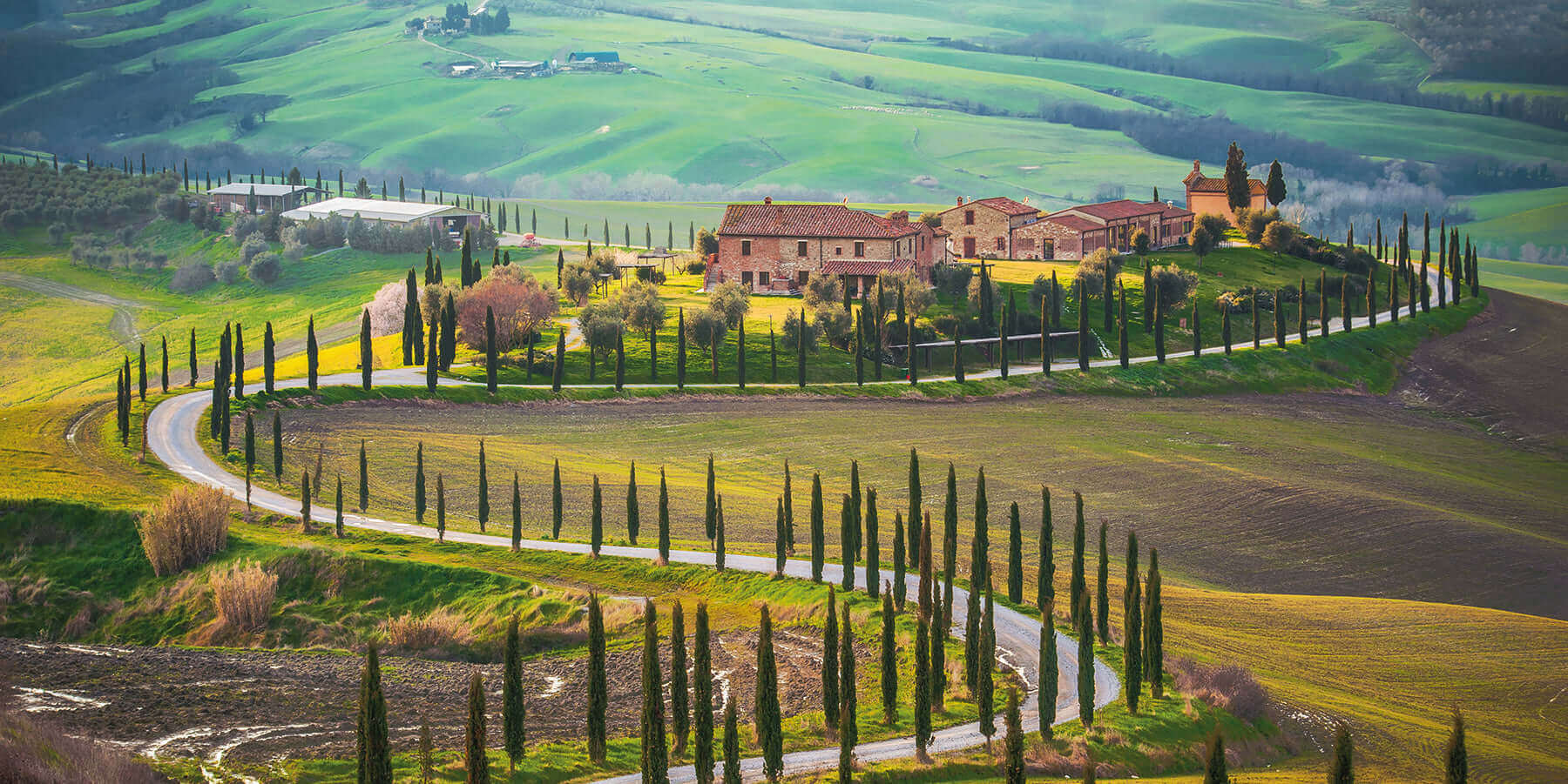 A winding road lined with tall cypress trees leads to a rustic stone villa surrounded by lush green fields and rolling hills under a clear sky.
