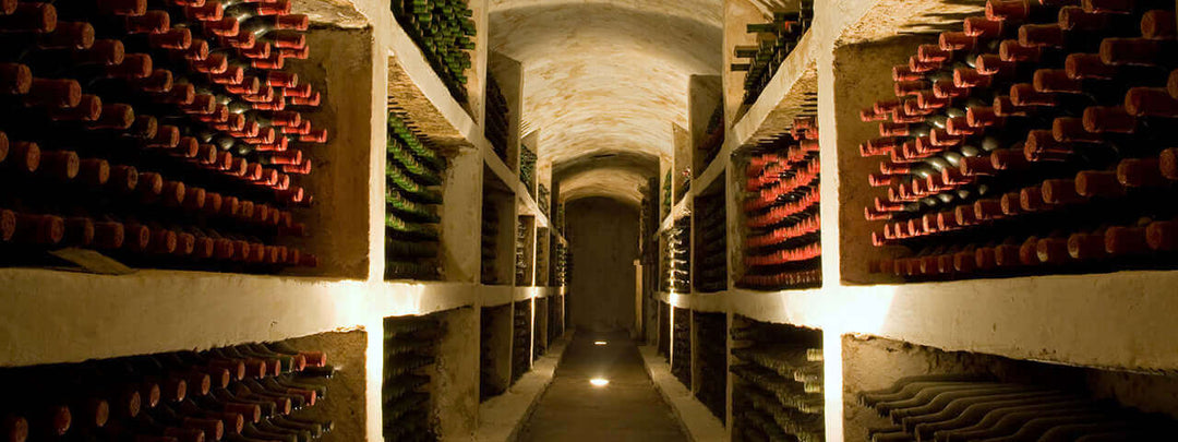 Wine cellar with red wine bottles — starting a fine wine collection