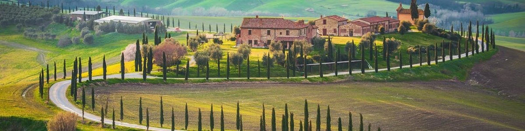 Discover Italy from home - Onshore Cellars