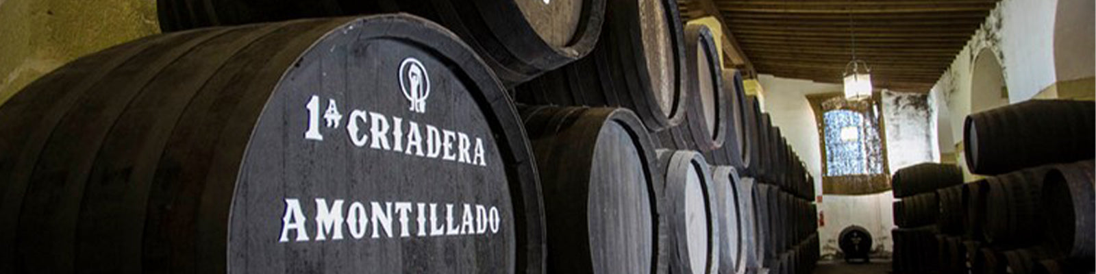 Bodegas Tradicion