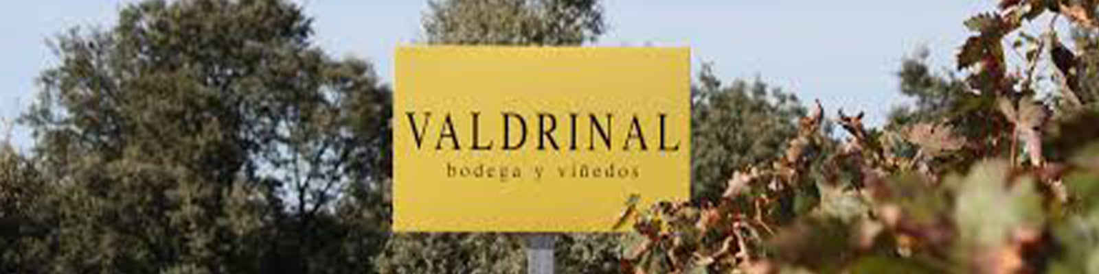 Bodegas Valdrinal