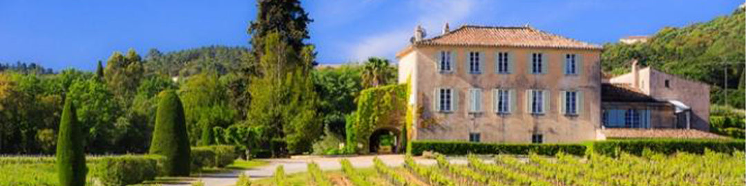 A large chateau surrounded by lush greenery and vineyards under a clear blue sky. Tall trees and manicured hedges line the path leading to the building.