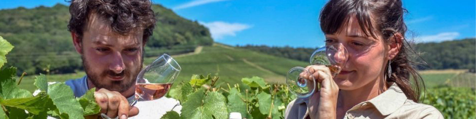 Domaine Baud