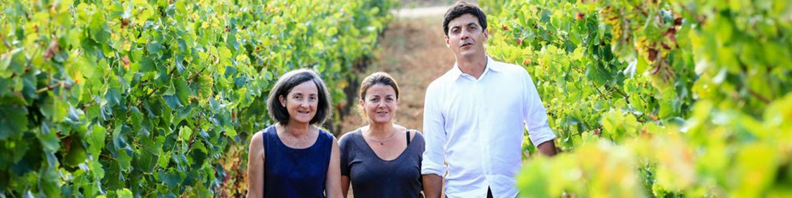 Three people, two women and a man, walk between rows of lush green vineyard plants. The sky is clear, and they seem to be enjoying a sunny day outdoors.