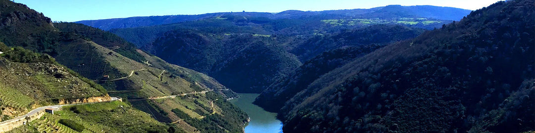 Panoramic view of a winding river between lush green mountains and hills under a clear blue sky. Paths are visible along the slopes, and the landscape is rich with vegetation and dense forests.