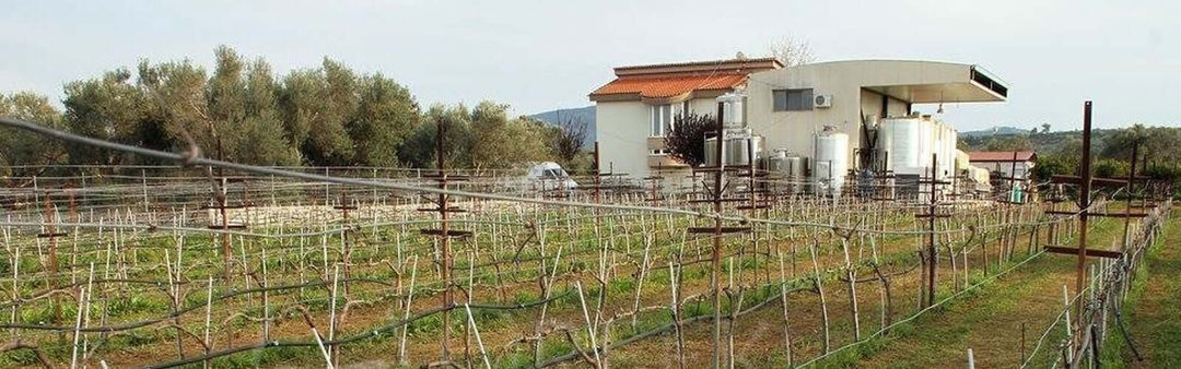 Giannikos Winery