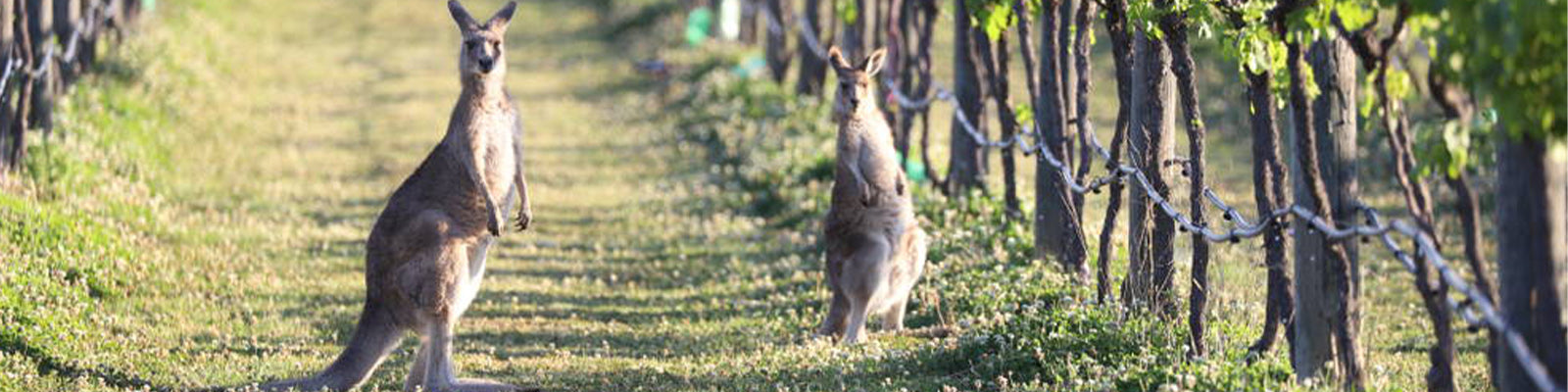 Margaret River