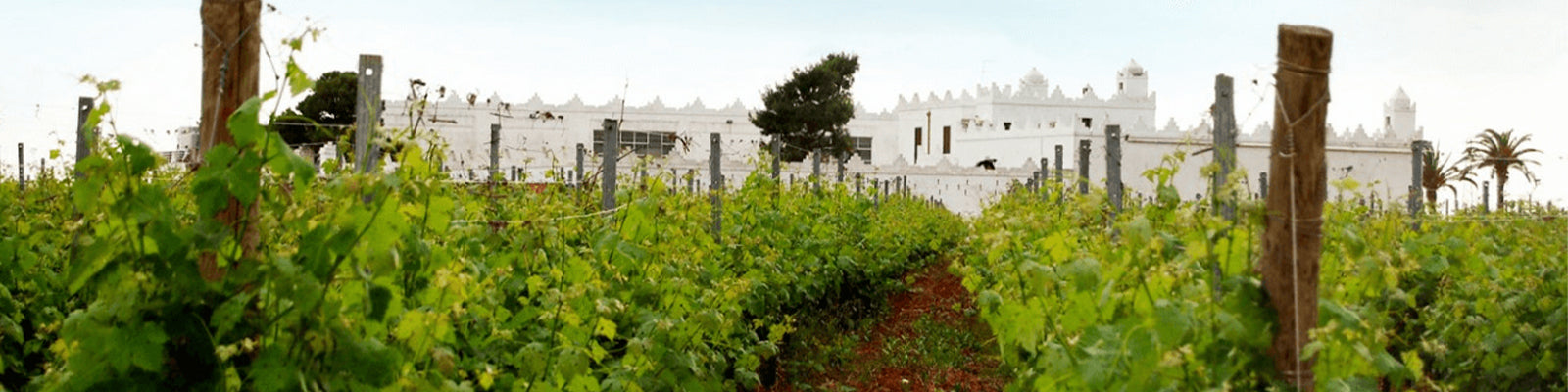 Masseria Surani