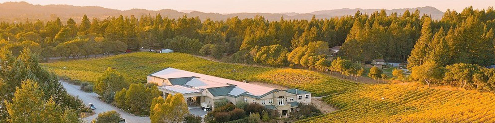 Merry Edwards Winery