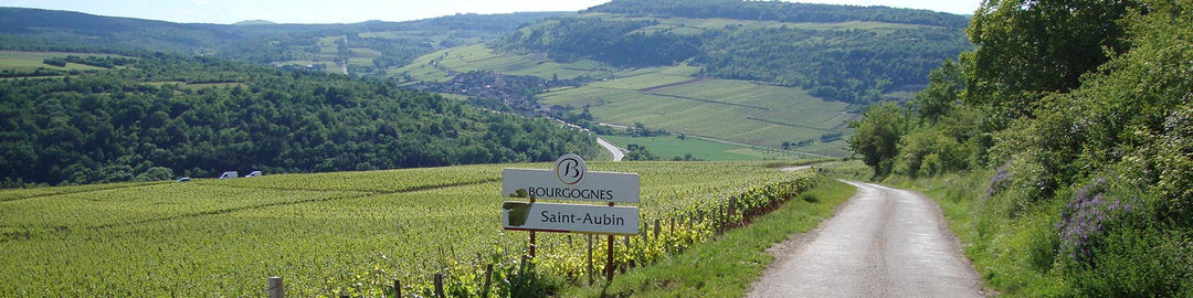 A scenic view of a lush vineyard in Saint-Aubin, Burgundy, with rolling hills and a road leading through the landscape. A sign in the foreground marks the region. The sky is clear, adding to the serene atmosphere.