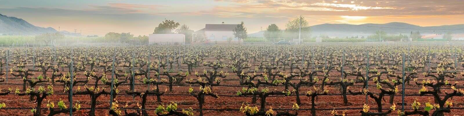 Our collection of Spain - Find this at Onshore Cellars your yacht wine supplier