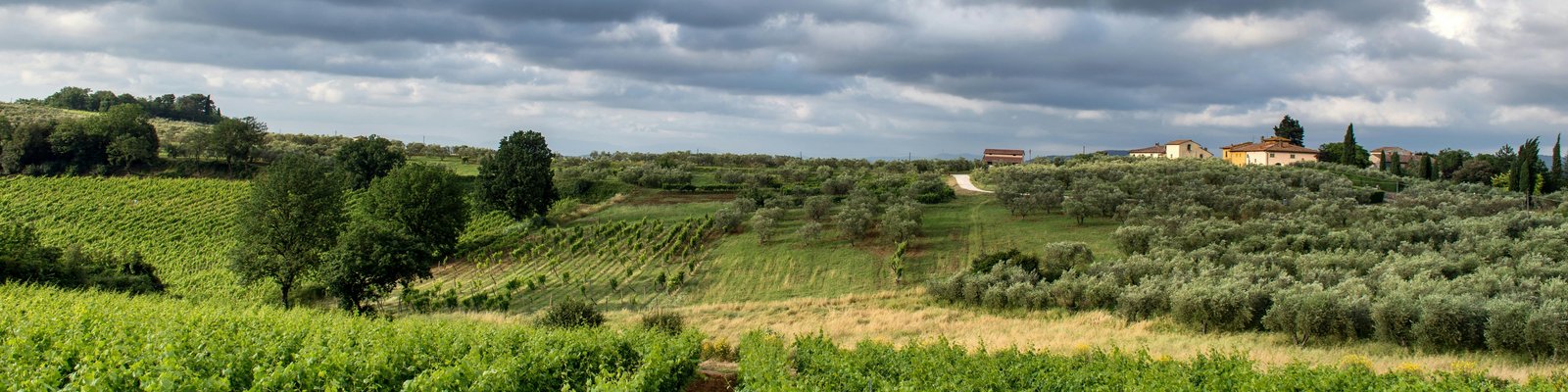 Carignano del Sulcis DOC