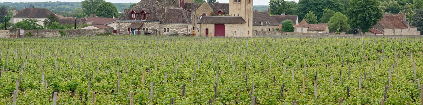 Clos de la Roche