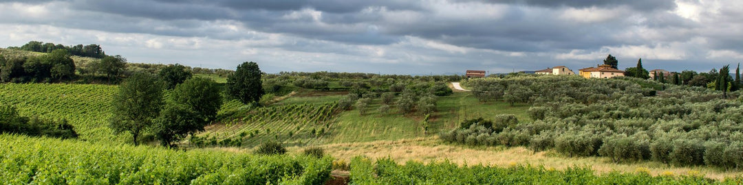 Fiano di Avellino DOCG
