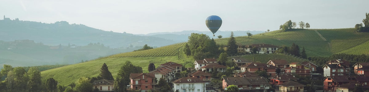 Piemonte DOC