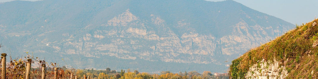 Prosecco Conegliano Valdobbiadene DOCG