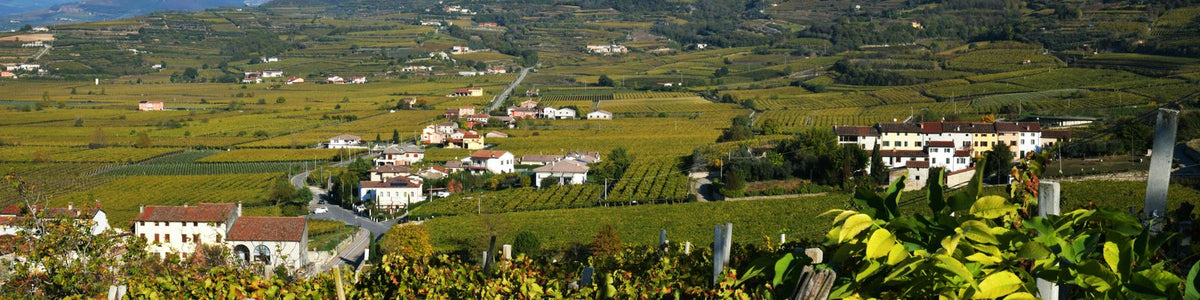 Recioto di Soave DOCG
