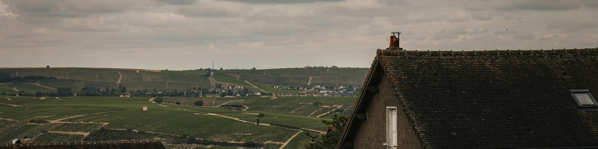 Rosé de Loire