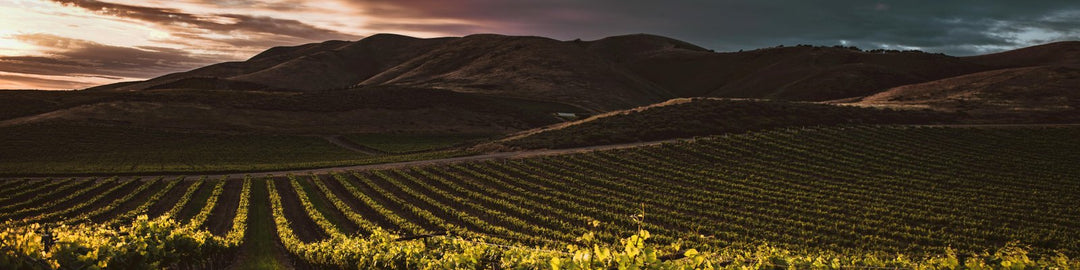 Santa Cruz Mountains