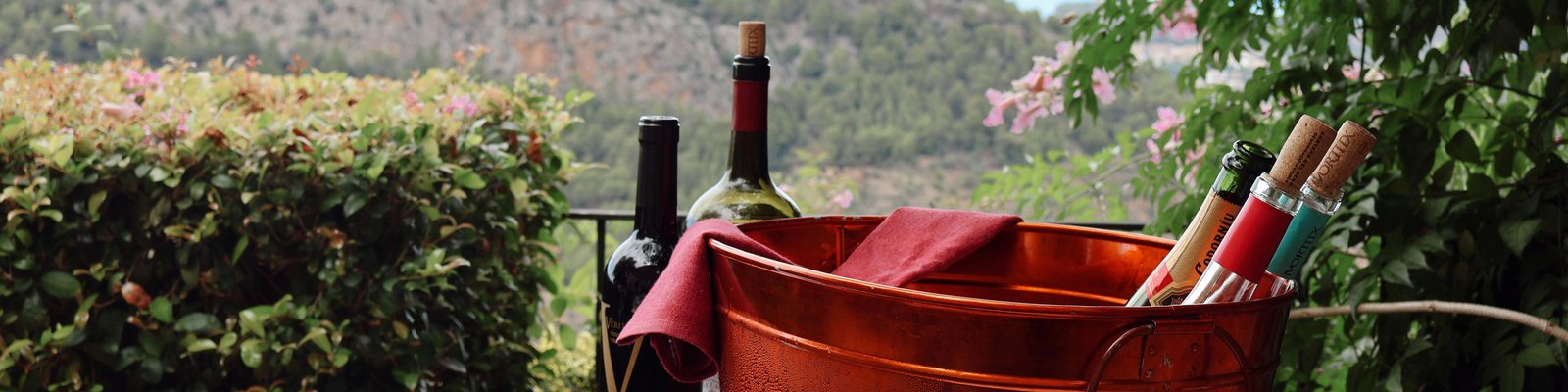 Vino de la Tierra Mallorca IGP