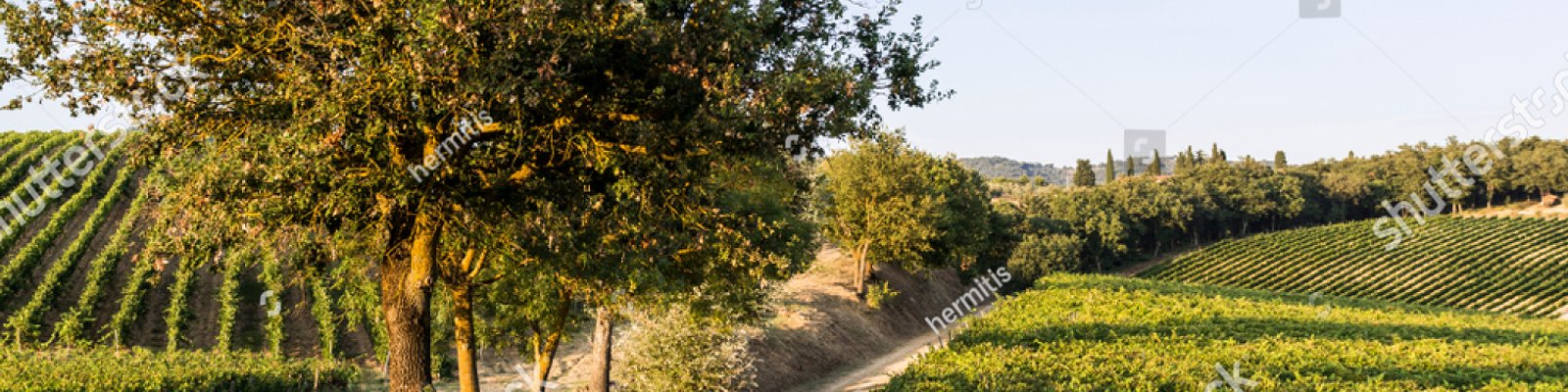 Vino Nobile di Montepulciano DOCG