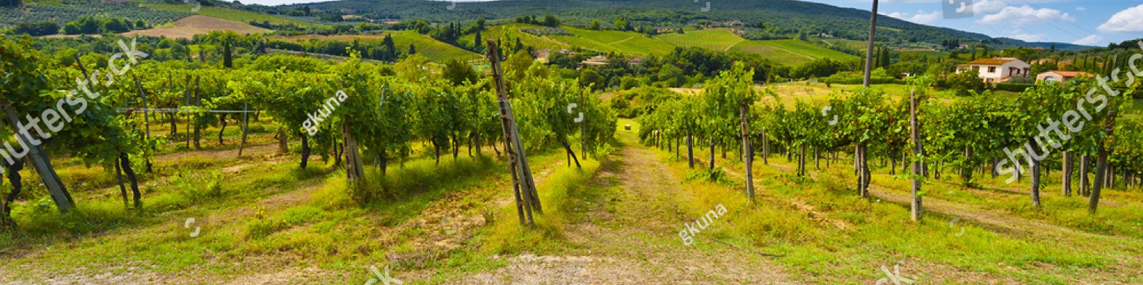 Vouvray