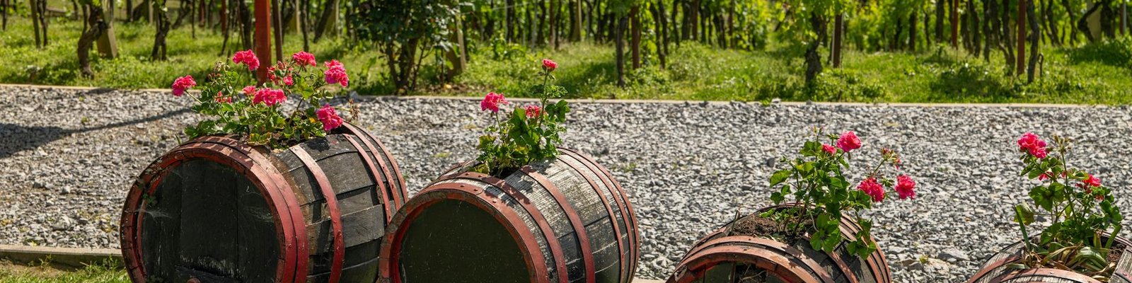 Central Otago - Red wine