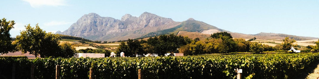 Franschhoek