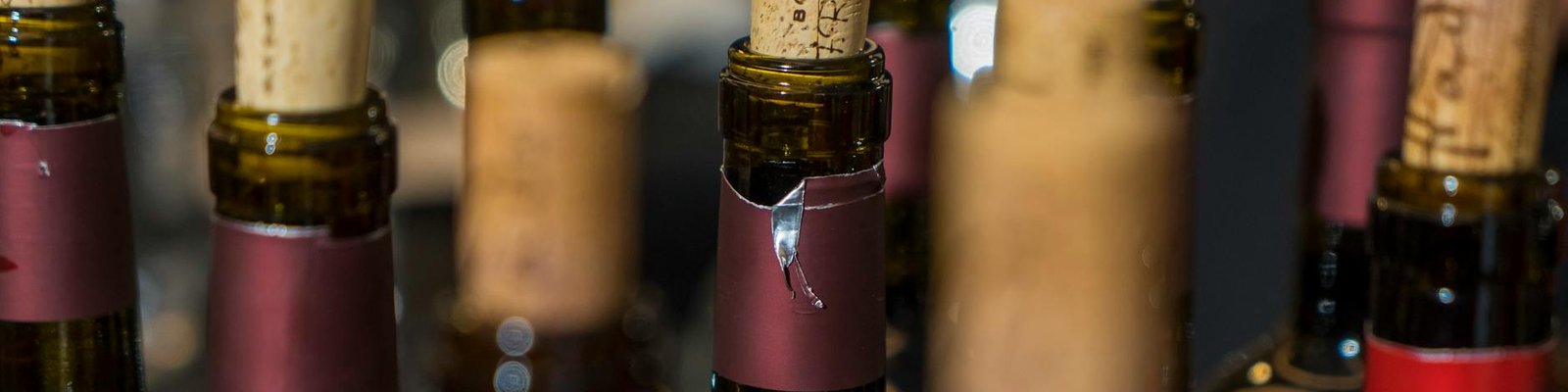 Syrah