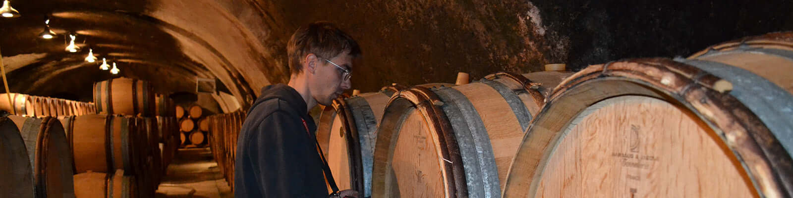 A person inspects large wooden barrels in a dimly lit wine cellar with a vaulted ceiling.