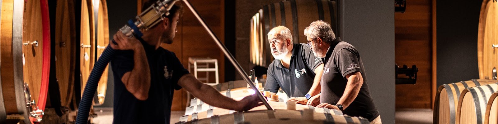 Attis Bodegas y Viñedos
