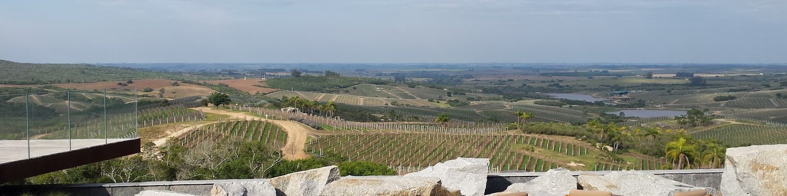 Bodega Garzon