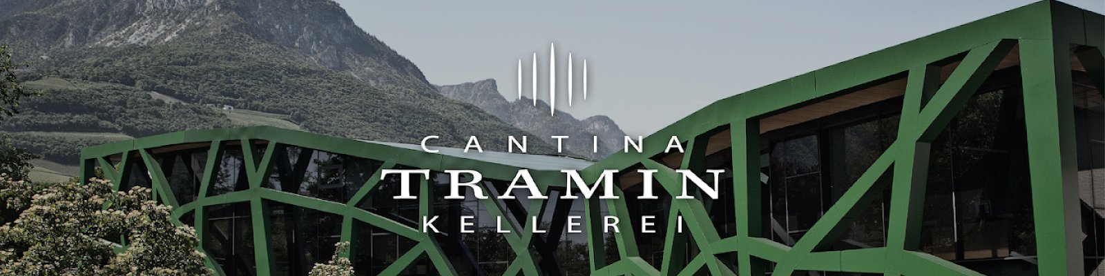 Cantina Tramin