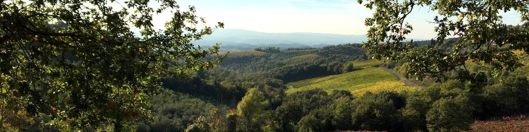 Castellare di Castellina