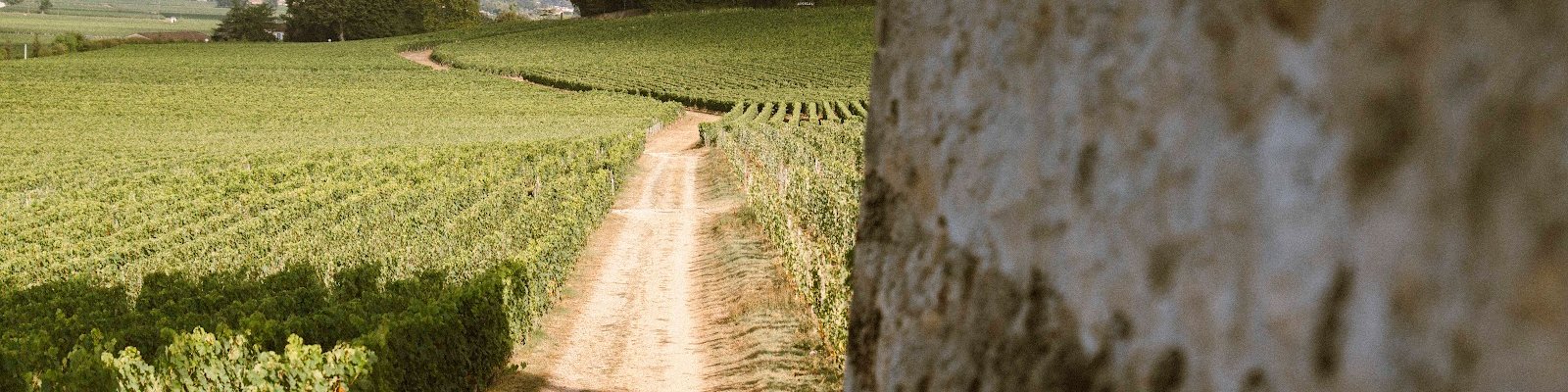 Château Beausejour Duffau