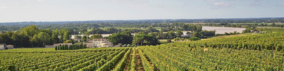 Château de la Dauphine