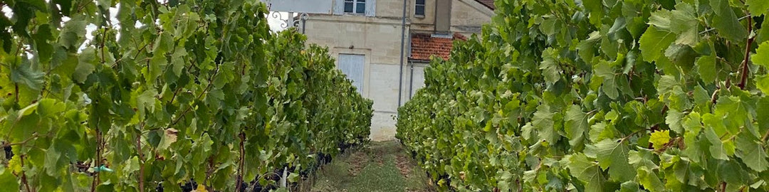 Chateau La Fleur Petrus