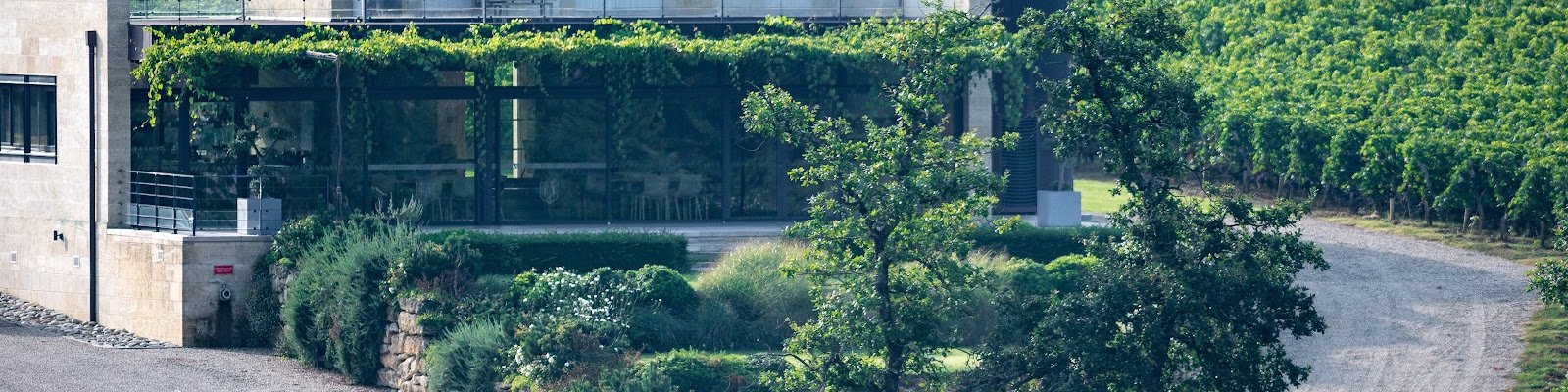 Château Pavie Macquin