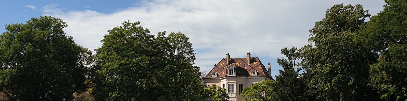Comtes Lafon