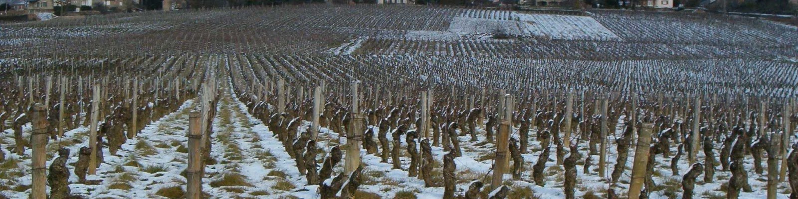 Domaine Davanture