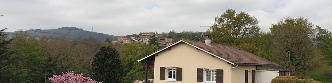 Domaine De La Creuze Noire