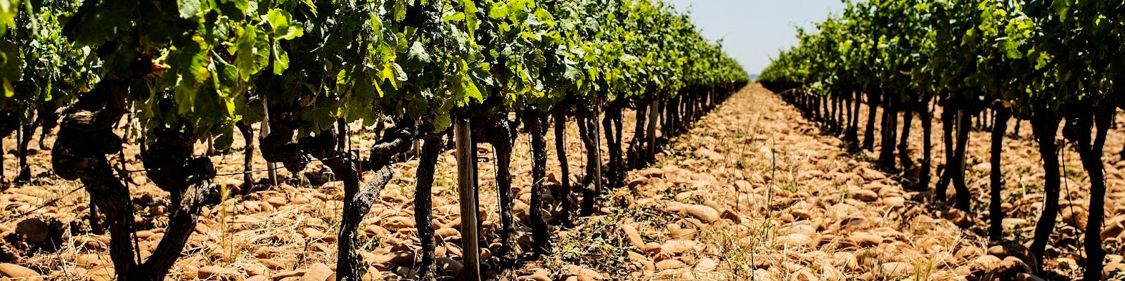 Domaine De La Mordoree