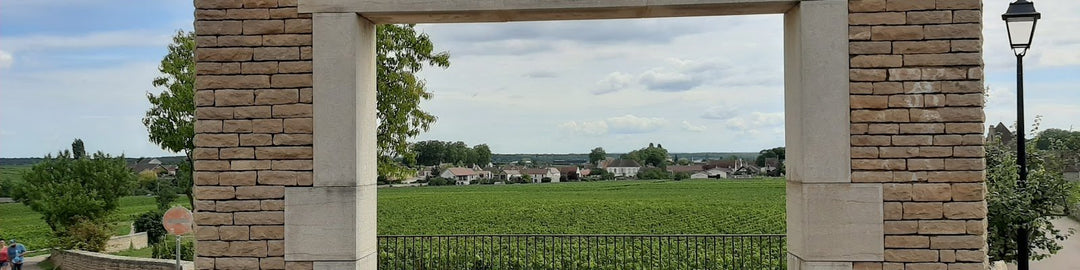 Domaine De La Vougeraie