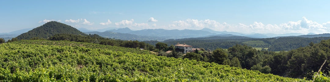 Domaine De Mourchon