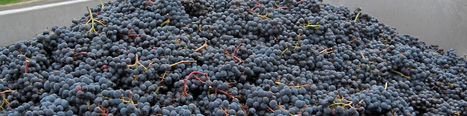 Domaine De Panquelaine