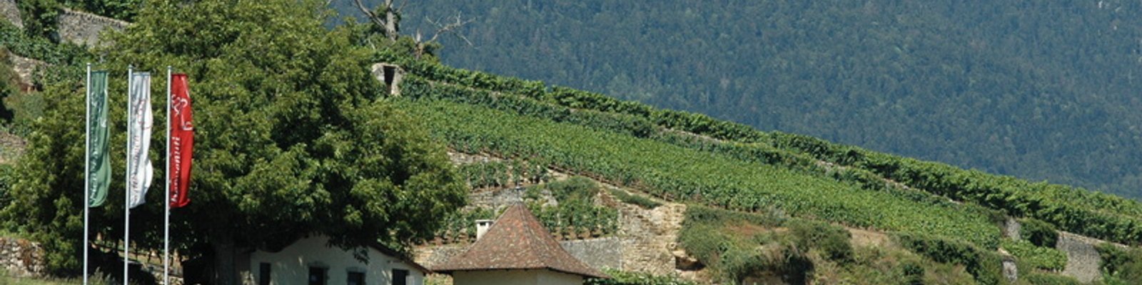 Domaine Des Landions