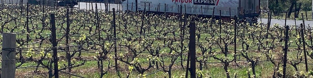 Domaine Michel Laurent