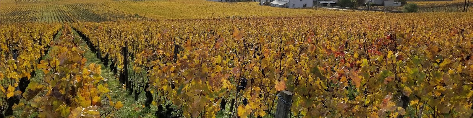 Domaine Ponsot