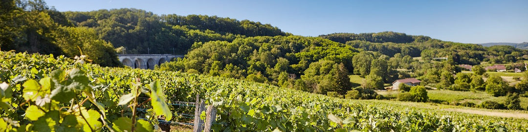 Domaine Rolet Et Fils