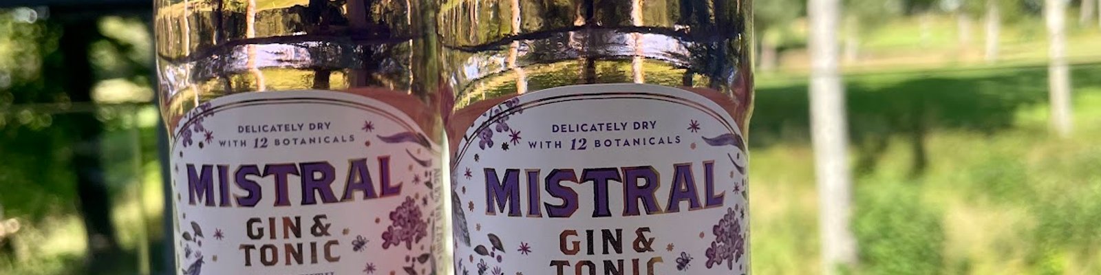 Mistral Gin